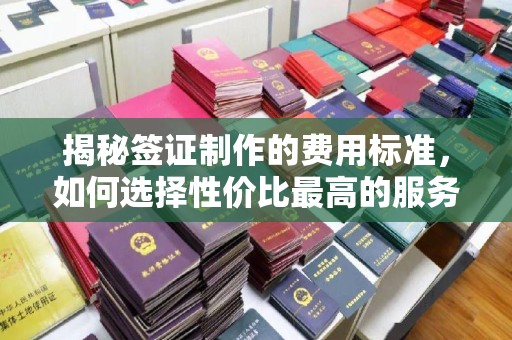 九寨沟揭秘签证制作的费用标准，如何选择性价比最高的服务？