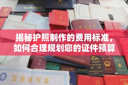 九寨沟揭秘护照制作的费用标准，如何合理规划您的证件预算