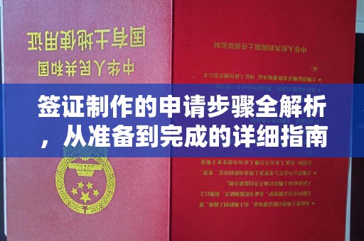 九寨沟签证制作的申请步骤全解析，从准备到完成的详细指南