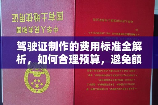 九寨沟驾驶证制作的费用标准全解析，如何合理预算，避免额外支出